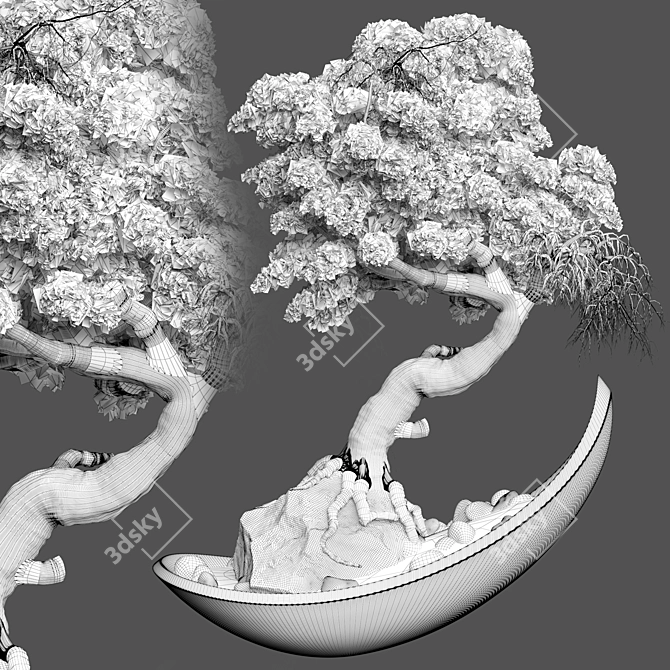 162 Bonsai Indoor Plant	Model 3D model image 3