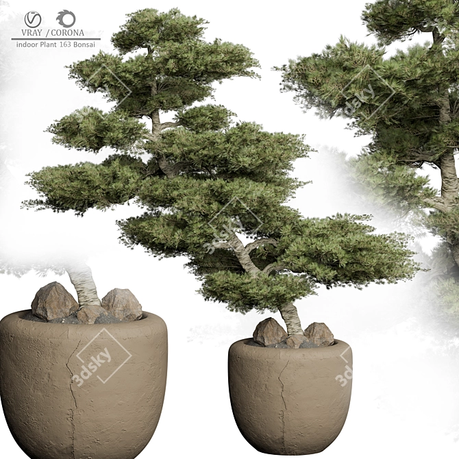 2015 Version Bonsai Plant 163 3D model image 1