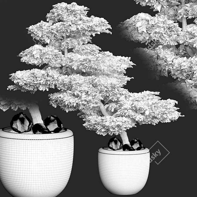 2015 Version Bonsai Plant 163 3D model image 2