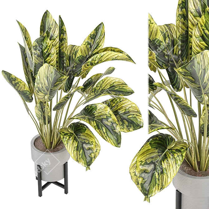 Modern Indoor Plants Collection Set 3D model image 1