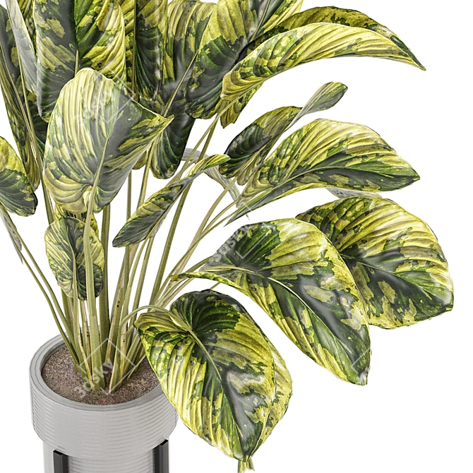 Modern Indoor Plants Collection Set 3D model image 2