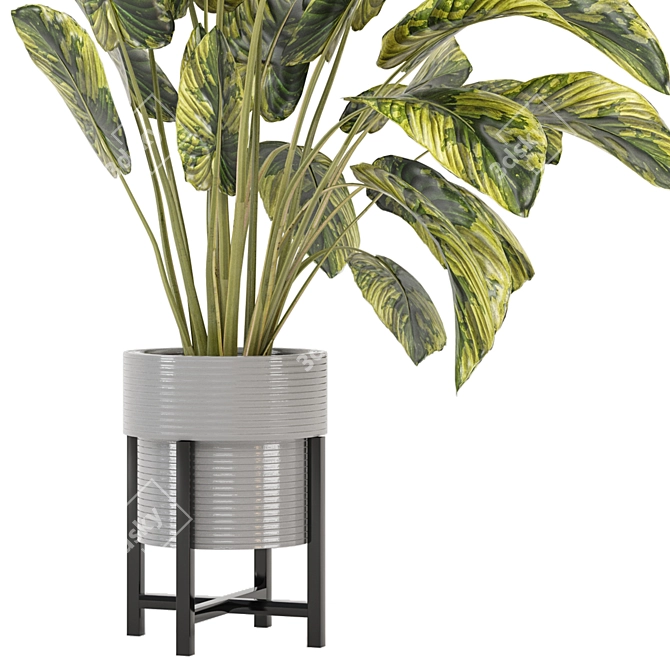 Modern Indoor Plants Collection Set 3D model image 3