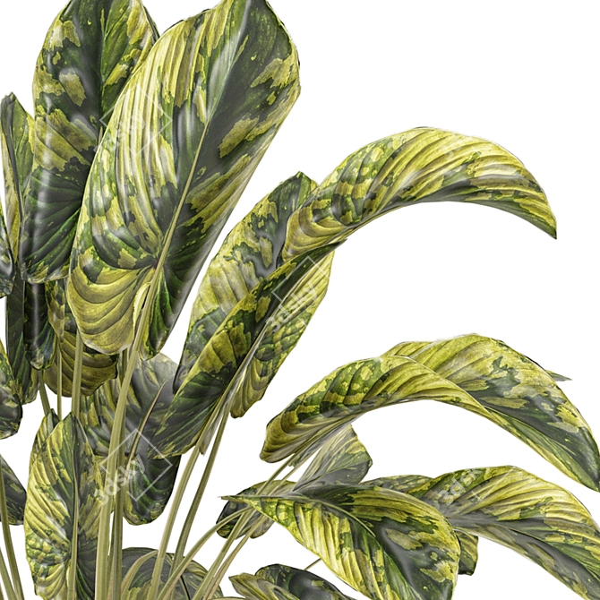 Modern Indoor Plants Collection Set 3D model image 4