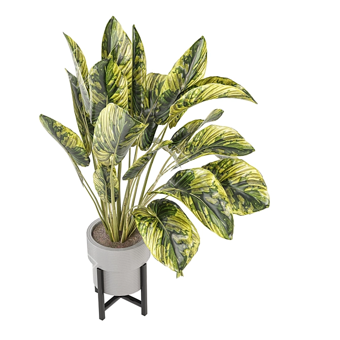 Modern Indoor Plants Collection Set 3D model image 5