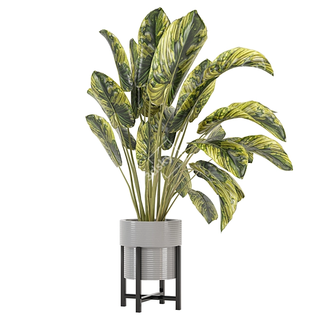 Modern Indoor Plants Collection Set 3D model image 6