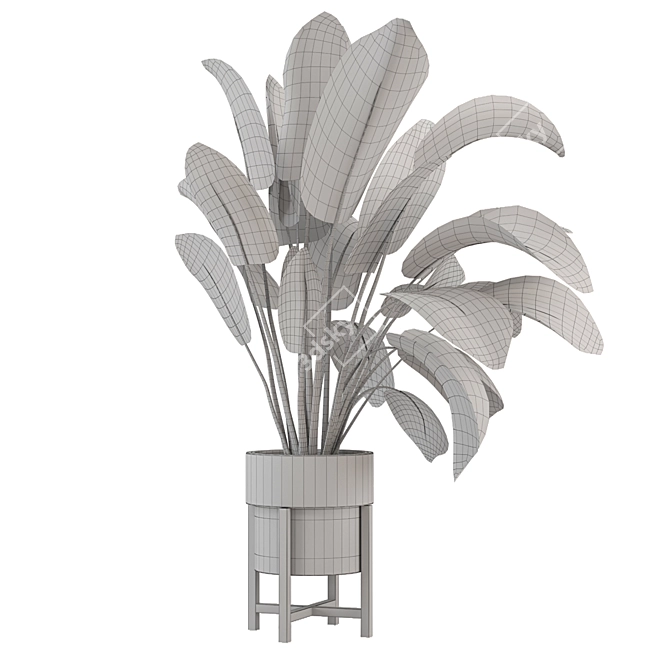 Modern Indoor Plants Collection Set 3D model image 7