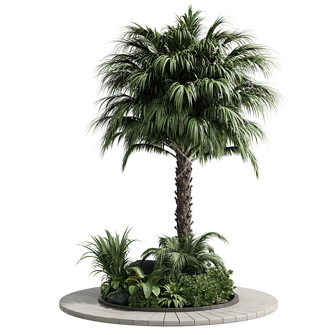 Tropical Outdoor Plant Collection 3D model image 1