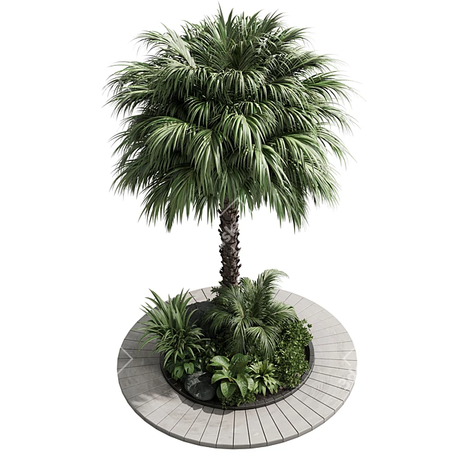 Tropical Outdoor Plant Collection 3D model image 2