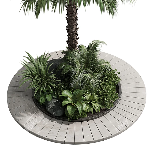 Tropical Outdoor Plant Collection 3D model image 3