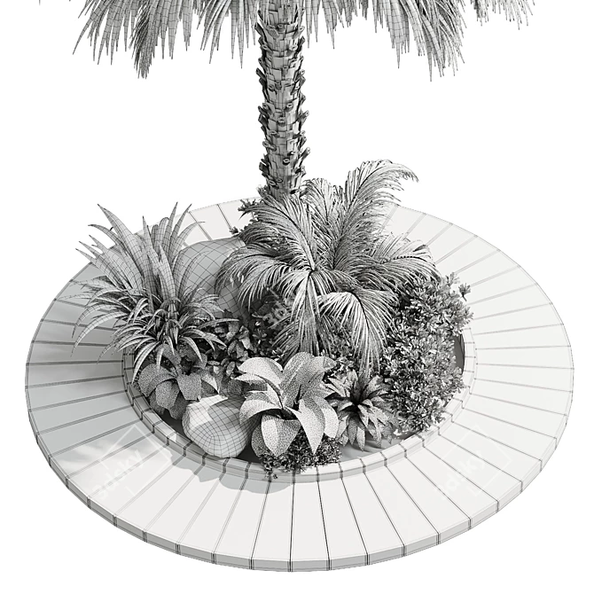 Tropical Outdoor Plant Collection 3D model image 5