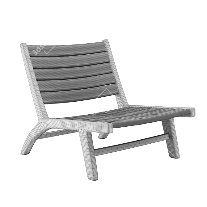 Teak & Abaca Lounge Chair 3D model image 4