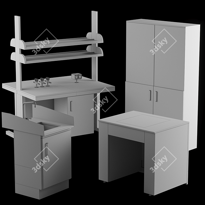 Laboratory Wall Bench Island Sink 3D model image 6