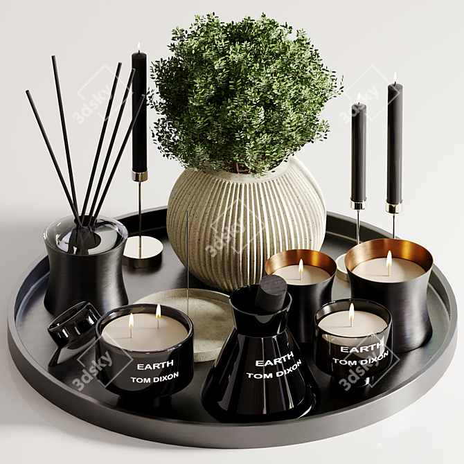 Alchemy Decorative TOM DIXON Set 3D model image 1