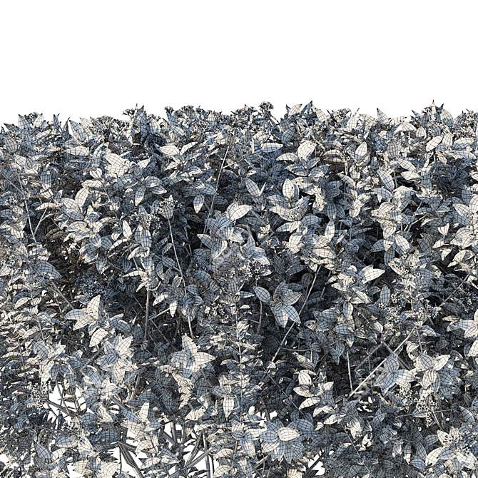 3D Bushes Model 2016 Render 3D model image 3