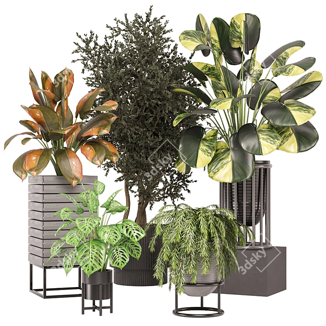  2015 Indoor Plants Collection 629 3D model image 1