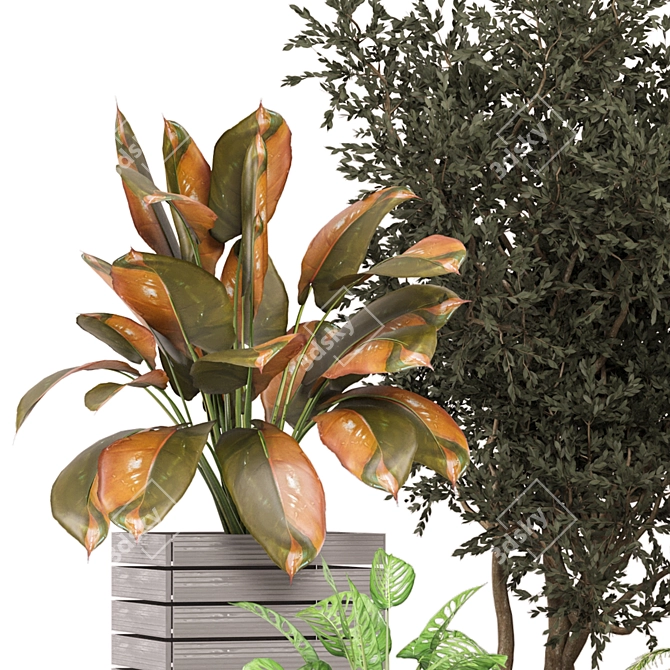  2015 Indoor Plants Collection 629 3D model image 2