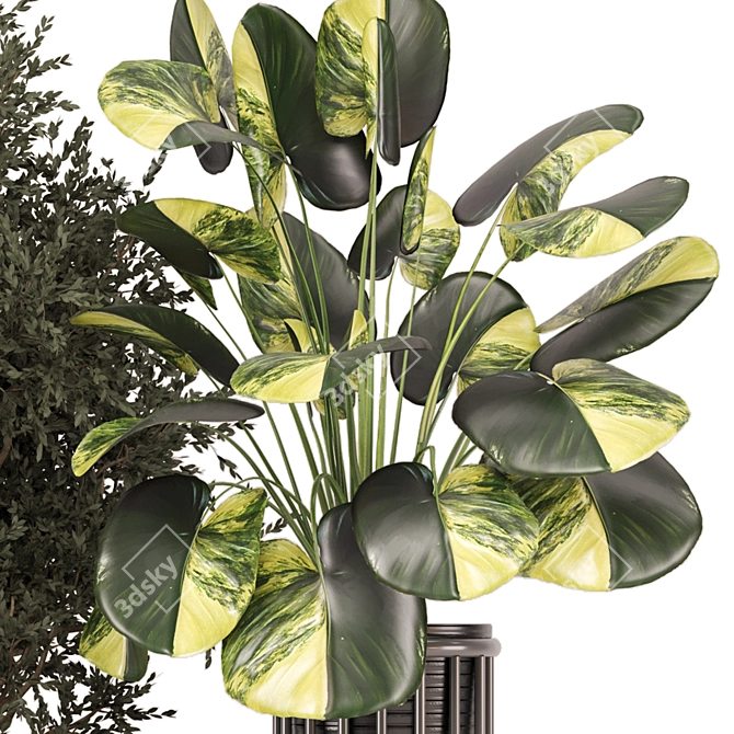  2015 Indoor Plants Collection 629 3D model image 3