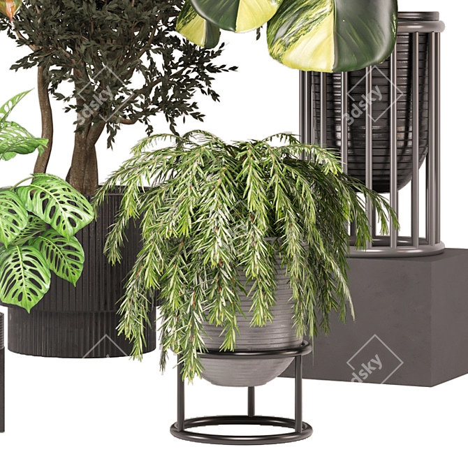  2015 Indoor Plants Collection 629 3D model image 4