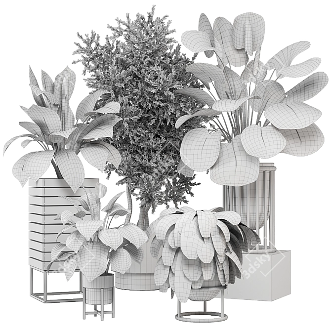  2015 Indoor Plants Collection 629 3D model image 6