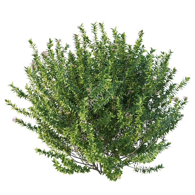 Bushes_01 2016 3D Parts Model 3D model image 2