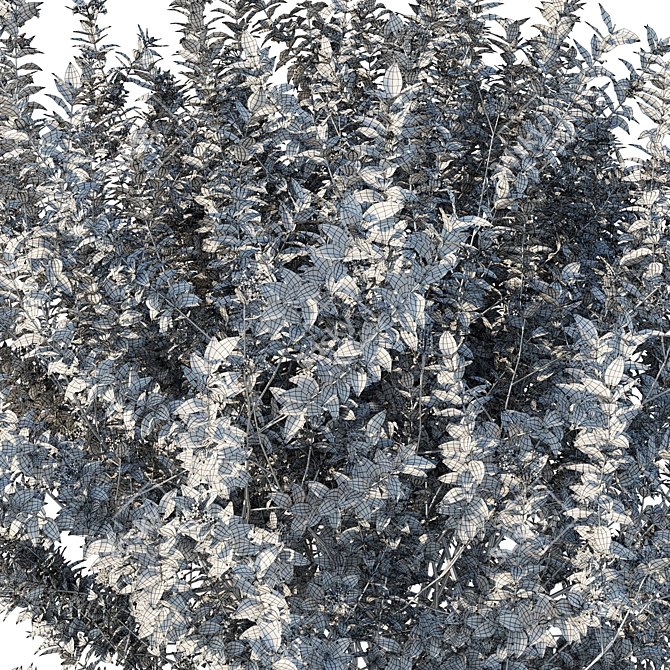 Bushes_01 2016 3D Parts Model 3D model image 3