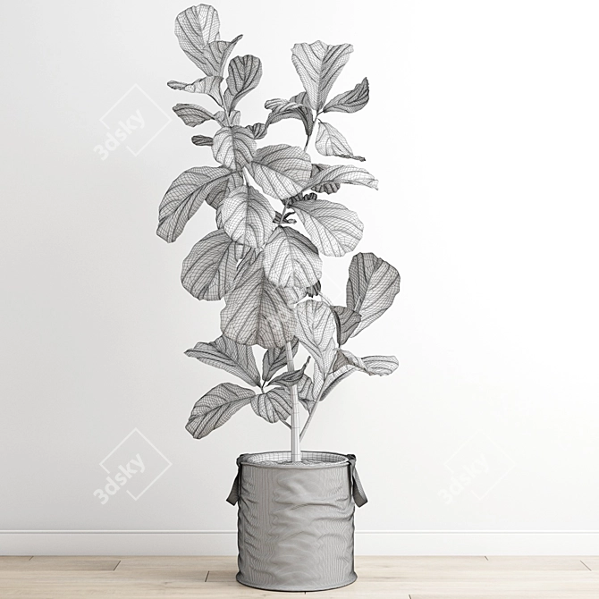 Polygonal Ficus Lyrata 3D Model 3D model image 4