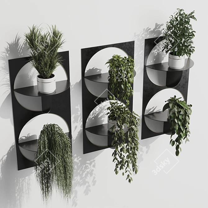 324-Plant Indoor Wall Shelf 3D model image 4