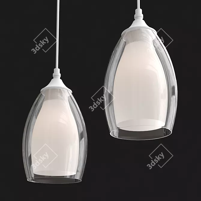 Ambrella Light Pendant Fixture 3D model image 2