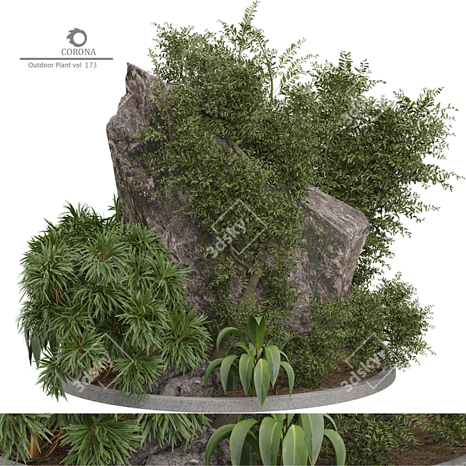 2015 Corona Outdoor Plant Model 3D model image 1