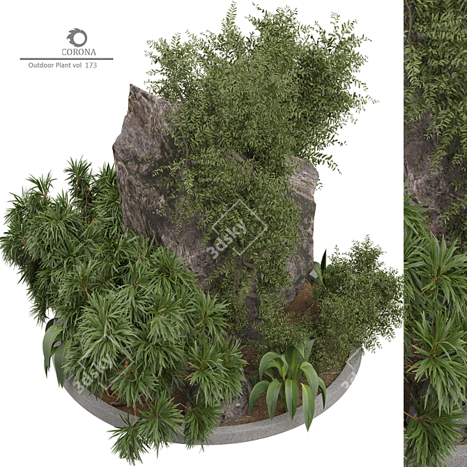 2015 Corona Outdoor Plant Model 3D model image 2