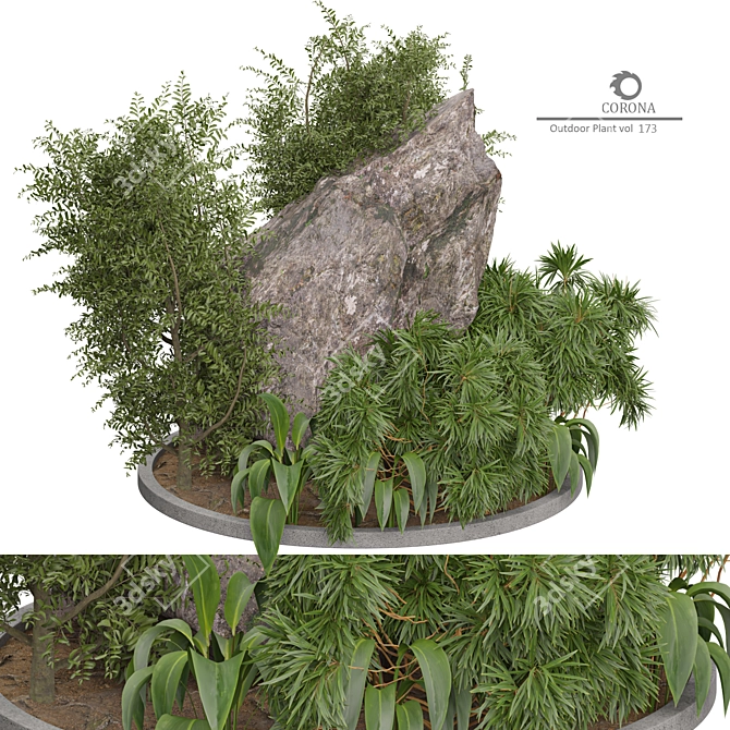 2015 Corona Outdoor Plant Model 3D model image 3