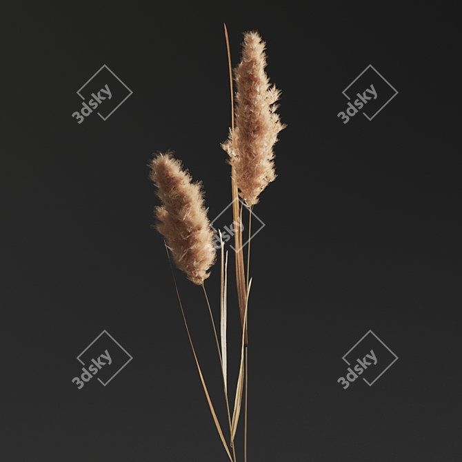 Natural Decor Plant Set 01 3D model image 2