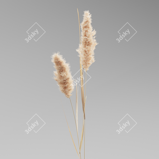 Natural Decor Plant Set 01 3D model image 6