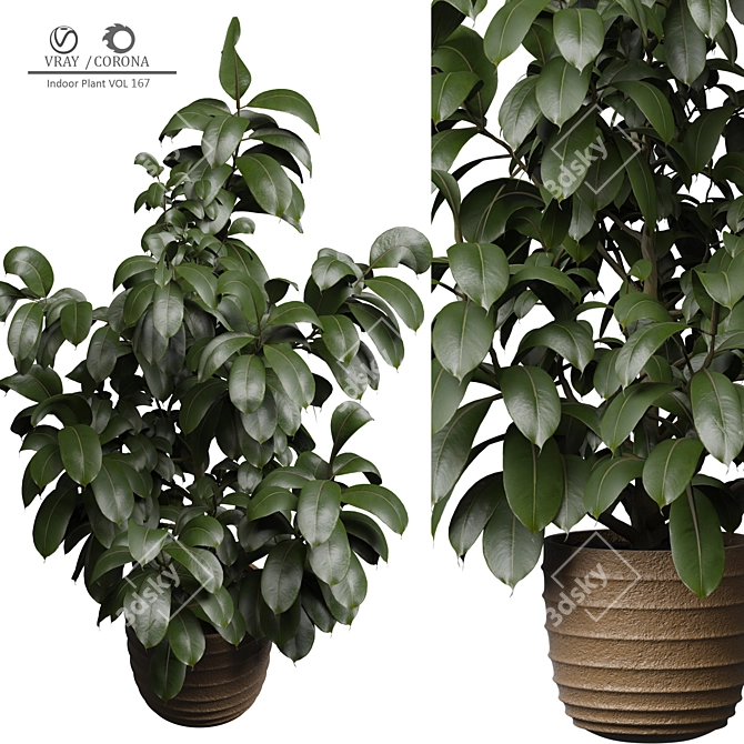 Modern Indoor Plant Decor 167 3D model image 1