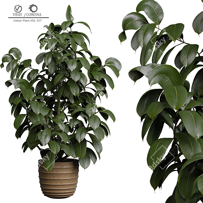 Modern Indoor Plant Decor 167 3D model image 2