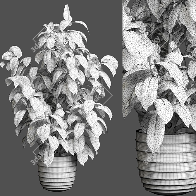 Modern Indoor Plant Decor 167 3D model image 3