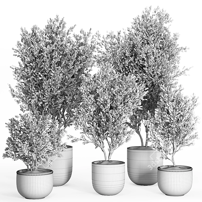 PBR Indoor Plant Set 40 3D model image 4