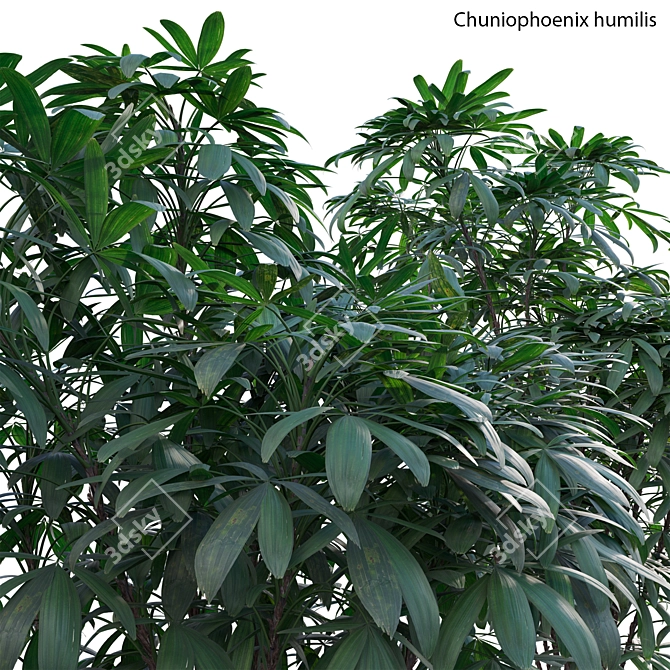 Versatile 3D Plant Models Bundle 3D model image 3