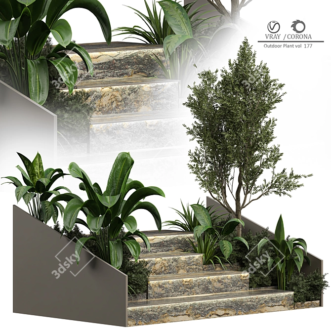 2015 Outdoor Plant 177 3D Model 3D model image 1