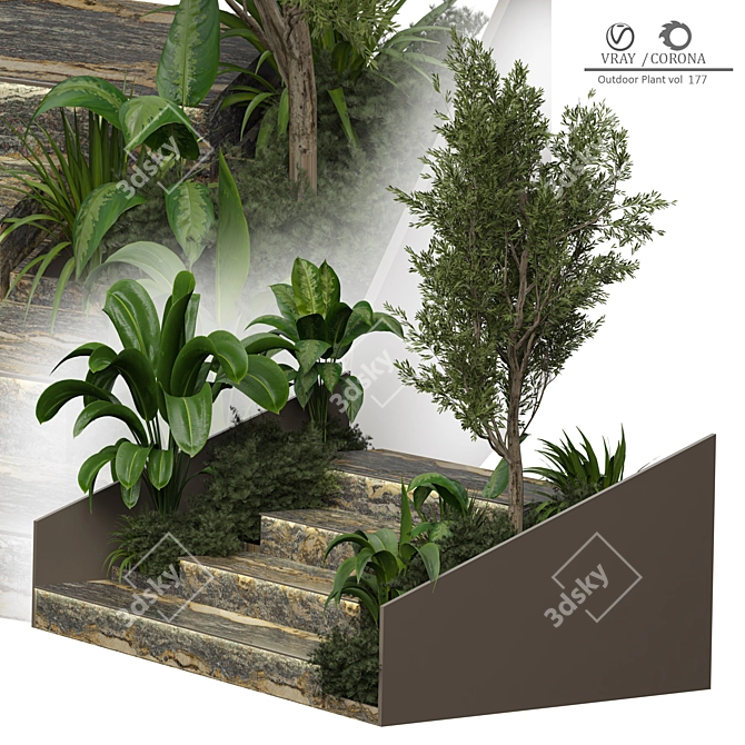 2015 Outdoor Plant 177 3D Model 3D model image 2