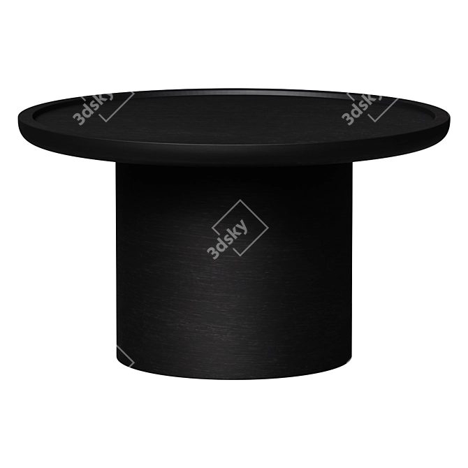 Distressed Black Round Coffee Table 3D model image 1