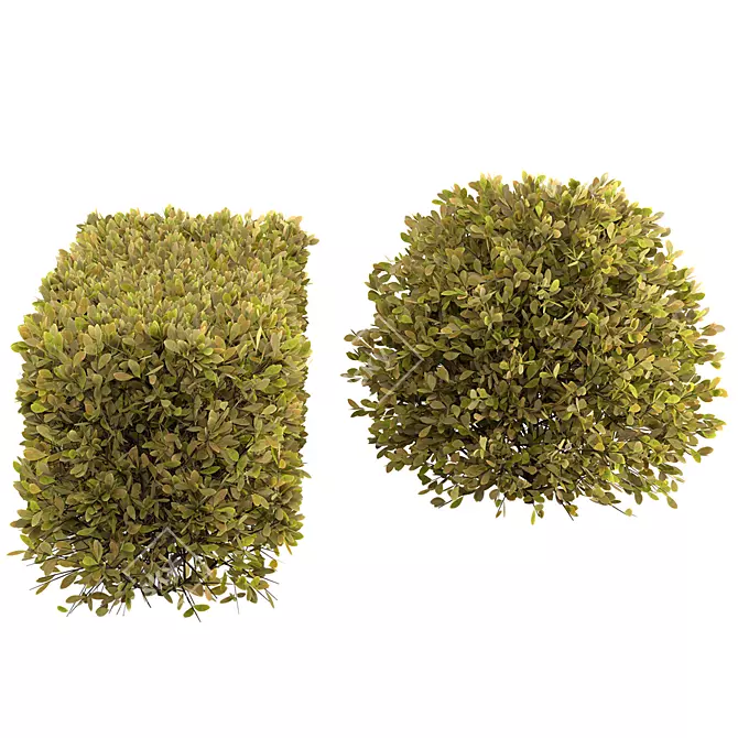 Rustic Dried Bush No.6 3D model image 3