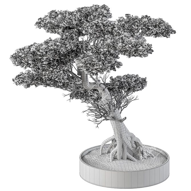 Zen Bonsai Plant 460 3D model image 3