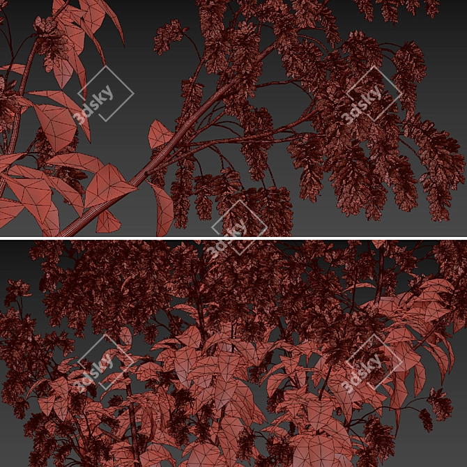 Polygonum Orientale Set (3 Plants) 3D model image 7