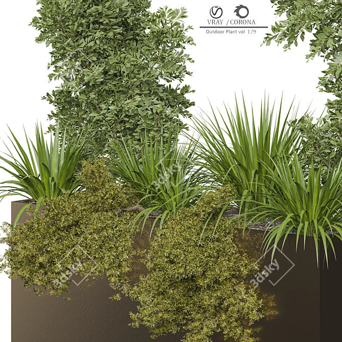 Modern Outdoor Plant 3D Model 3D model image 2