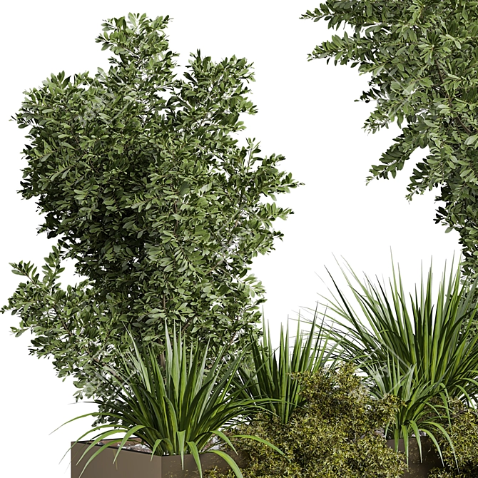 Modern Outdoor Plant 3D Model 3D model image 3