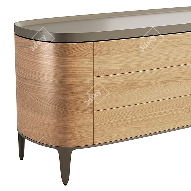 Poliform GENTLEMAN Chest Drawers 3D model image 4