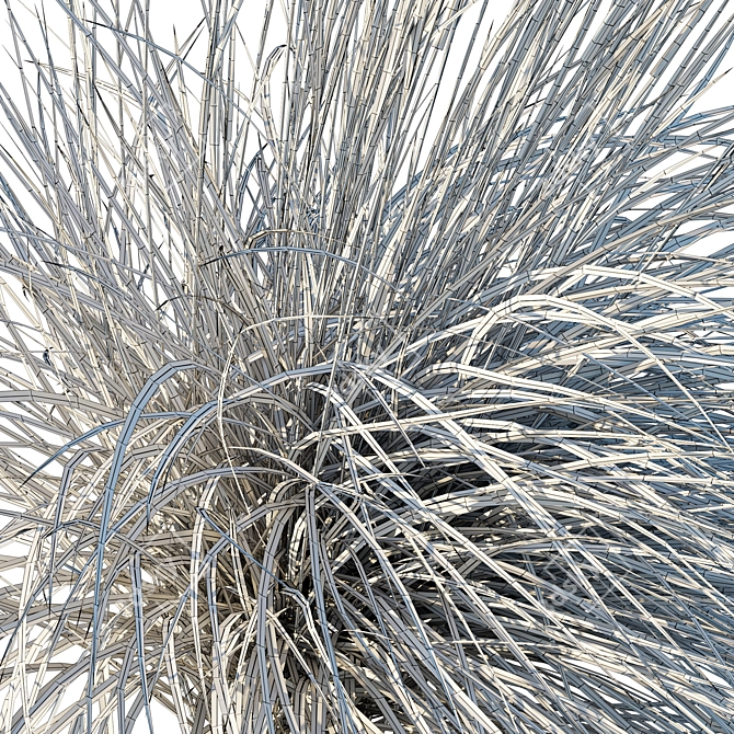 Black Mountain Bluestem 2016 Render 3D model image 4