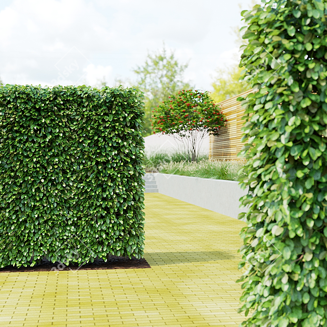 Live Beech Hedge Pack | 3D Models 3D model image 6