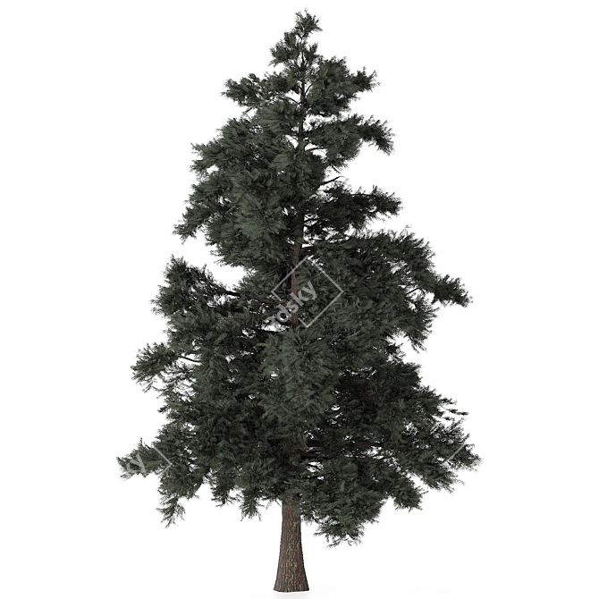 Pine Tree 3D Model polys 760K 3D model image 1